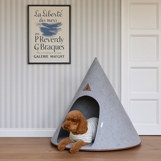 Nooee Pet Cave Molly (XL) – Gray