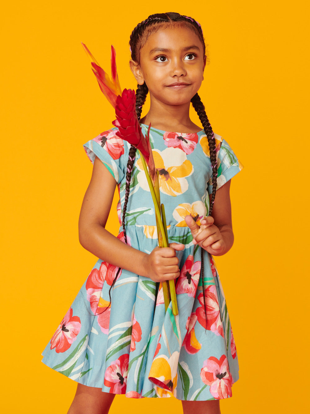 Tea Collection Button Back Skirted Dress