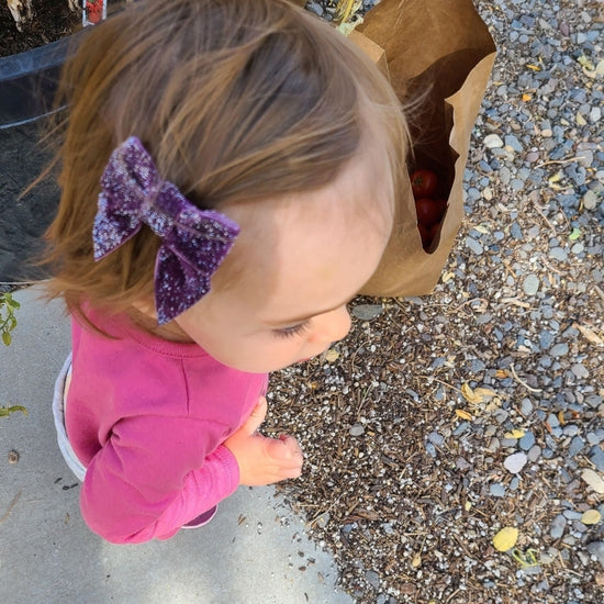 No Slippy Hair Clippy Aubrey Velvet Glitter Bow