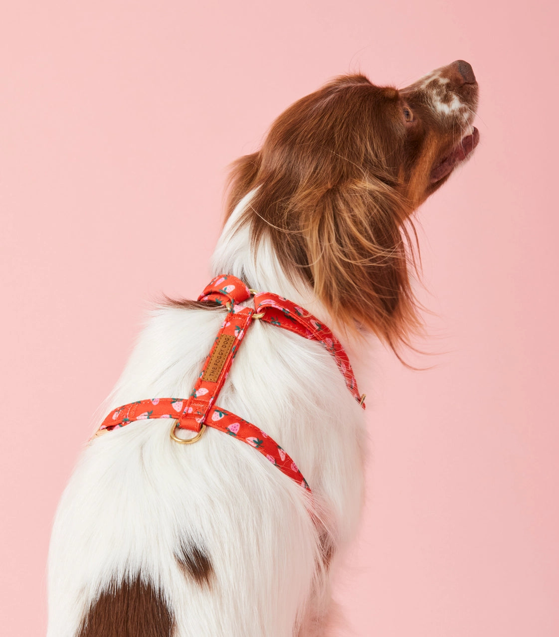 Berry Sweet Dog Harness