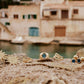 Carmen Blue Ring | Jewelry Gold Gift Waterproof