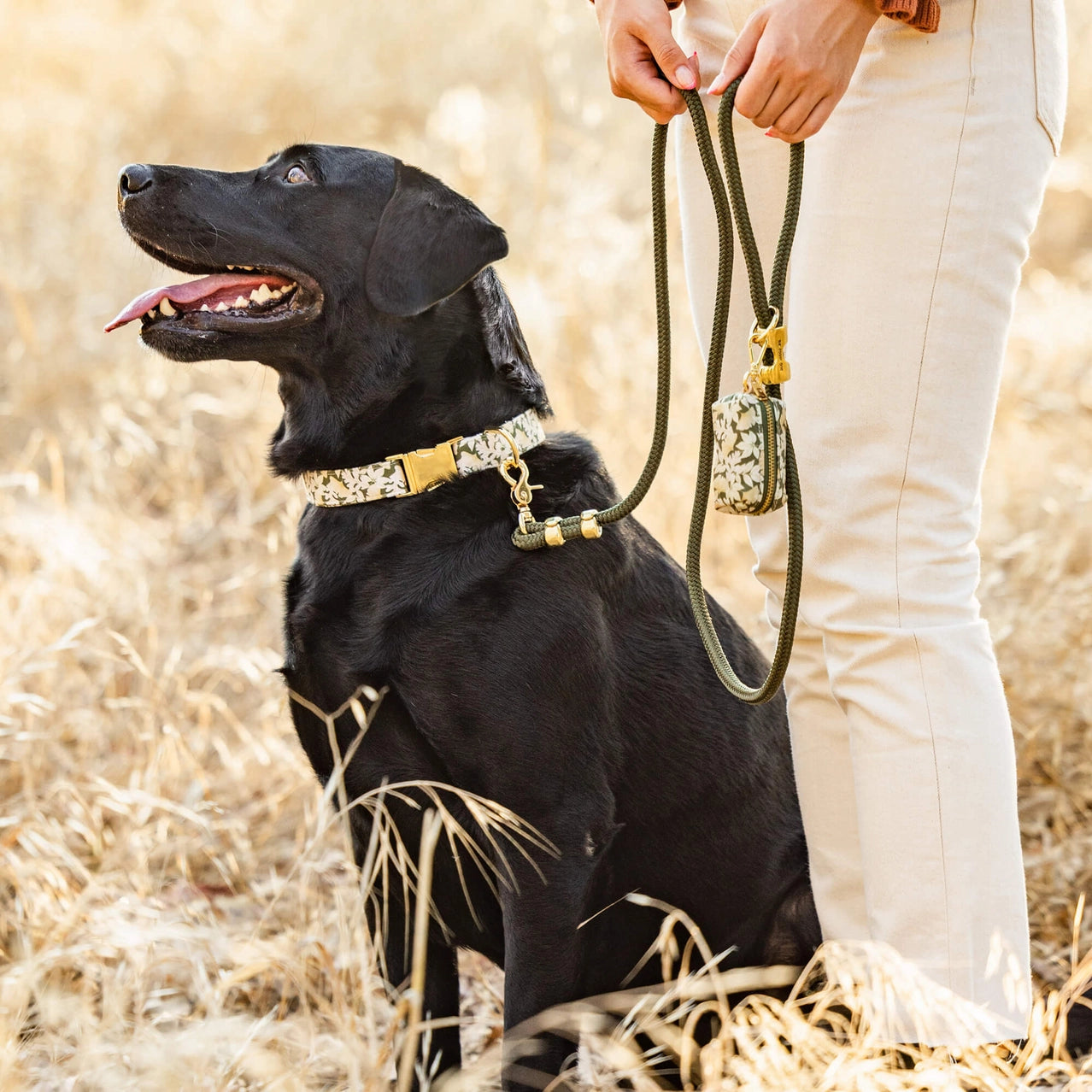 Olive Marine Rope Dog Leash