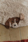 Lorena Canals WASHABLE RUG DOGS