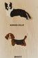 Lorena Canals WALL HANGERS DOGS