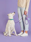 Violet Marine Rope Dog Leash